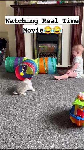 336K views · 8.7K reactions | Having the Best Time of His Life ♥️珞. #happy #laughter #joy #funny | Happi Place | Facebook