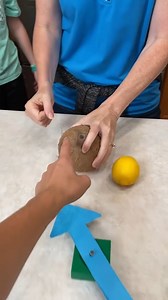 94K views · 1.8K reactions | Fantastic Fruit Spinner Game   This video was produced by Network Media LLC and Benson Bros | Challenge Accepted | Facebook