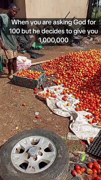 Harvest choke beyond expectation. ###fyp #foryoupage #goviral #fyp #farmlife