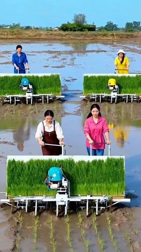 Rice Transplanter / rice planting machine 🌾🚜 | X-Vans