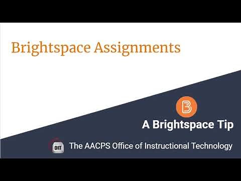 Brightspace Assignments