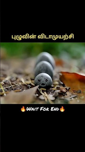 Worm #shortsfeed #shorts #cartoon