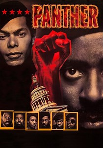 Panther streaming: where to watch movie online?