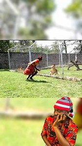 Village people sent him to visit the lions | Mr Fantastic Comedy