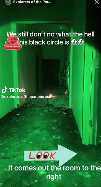 Unveiling the Mystery of the Strange Black Object