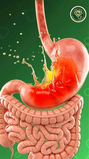 🤭😱 What happens inside your body when you eat rice 🌾🤕#health #3danimation