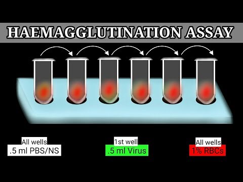 Haemagglutination Assay | HA Assay | HA Test |