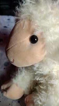 =^=¥=^^π¥÷¥=¥π¥÷€[¢✓^=¥=¢=€[^