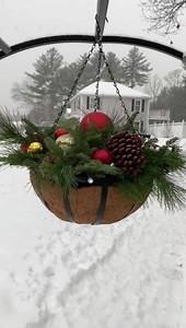 15K views · 748 reactions | Who wants to learn how to turn a cheap flower hanging basket into the perfect winter design? | Nick's Seasonal Décor | Facebook