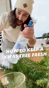 98K views · 1.9K reactions | How to keep your Xmas tree fresh longer! 朗 . . . #xmas #lifehacks #howto | creative explained | Facebook