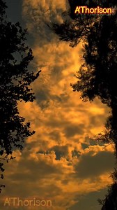 104K views · 3.9K reactions | I'm single. | Learn English With Thorison | Facebook