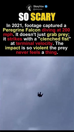 The Living Missile That Never Misses