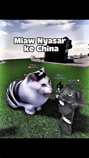 Miaw China #roblox #fyp #robloxmeme #robloxfyp #komedikocak
