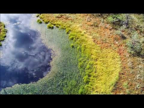 Dumitru Capoianu (1929-2012): Violin concerto (1957), soloist: Daniel Podlovschi