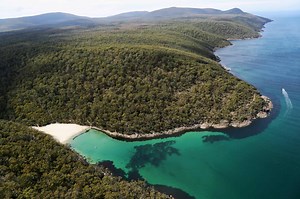 Three Capes and Tasman Peninsula Walking | Tasmania Tours
