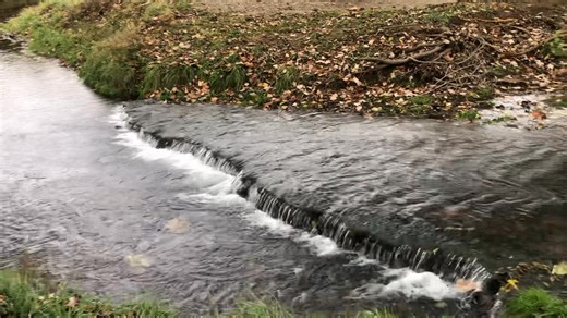 November 9, 2025 found Harrodsburg’s Big Spring swiftly flowing. Video by Keith Rightmyer. | Harrodsburg History