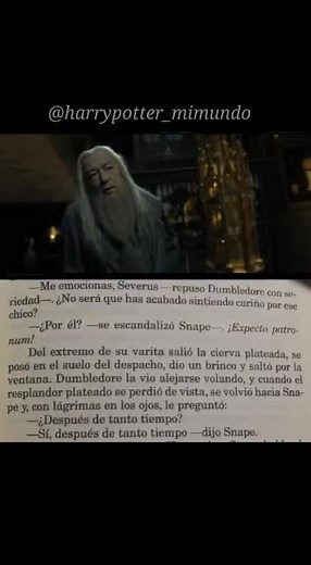 Analysis of Snape and Dumbledore's Relationship in Harry Potter