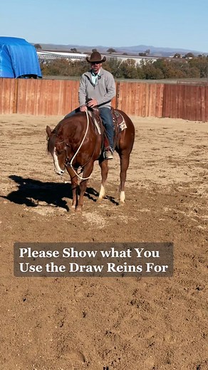 Effective Techniques for Using Draw Reins in Horse Training