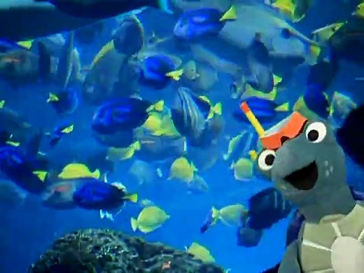 Baby Einstein - Baby Neptune