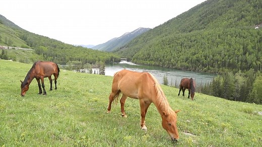 Exploring the iconic bays of the Kanas River