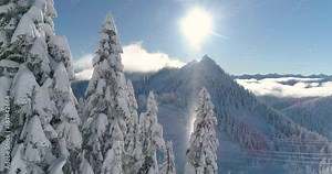 Unreal Lighting Sunbeam Through Snowing Air Particles Illuminated Tree in Wintertime Mountain Landscape