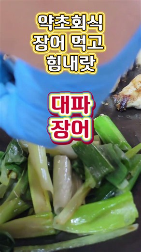 먹방1탄 대파향으로 장어를 잡는다 #약초산행 #강원도 #산나물 #산삼산행