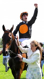 6.3K views · 608 reactions | 凉 Les plus beaux moments de l’obstacle de l’année 2024 #courseshippiques #horseracing #chevaux #horses #pourtoi #fyp | Equidia | Facebook