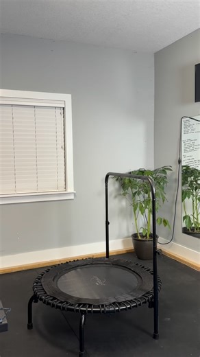 Becca Robinson on Instagram: "Your back shouldn’t hurt when you rebound — here’s how to keep it pain-free from day one. 👀 New to rebounding? Follow these beginner-friendly tips to protect your back and start strong: ✨ Bounce, don’t jump – keep your feet connected to the mat ✨ Tuck the tailbone – aim for a neutral spine ✨ Soft knees always – never lock them ✨ Stretch your back before and after ✨ Only 5 minutes at a time – less is more when starting 👉 Don’t have a rebounder but want to get start