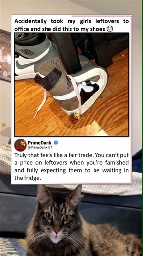 She chose violence over those leftovers and I understand 👟🍕