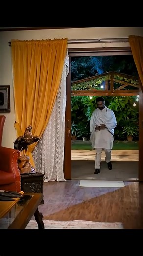 Exploring the Future of Robotics and Innovation