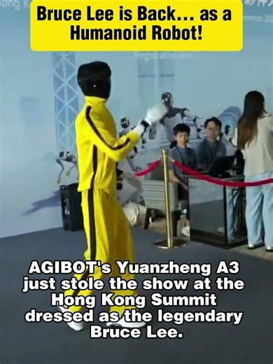 Bruce Lee is Back… as a Humanoid Robot!