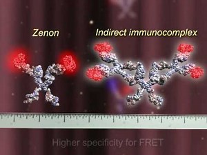 Using Zenon to detect interaction between proteins - Dr Othon Gervasio - 3D Scientific Animation