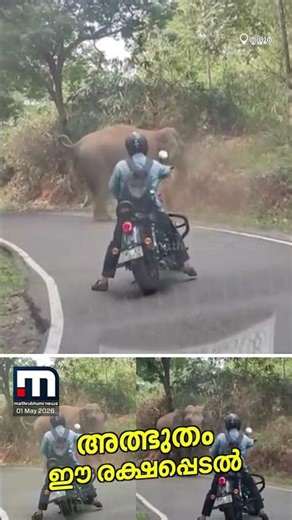 അത്ഭുതമീ രക്ഷപ്പെടൽ !! കാട്ടാനയുടെ മുന്നിൽപ്പെട്ട് ബൈക്ക് യാത്രികൻ | Wild Elephant | Narrow Escape