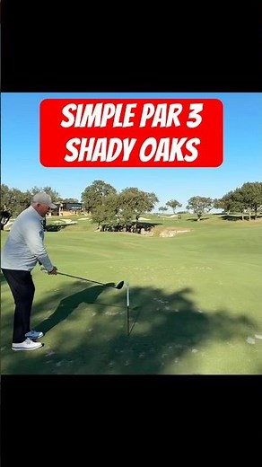 Precision on Display at Par 3 #golf #golfshot