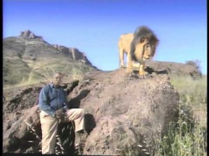 The Lion King - Deluxe LaserDisc Set Extras