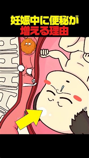 妊娠中に便秘が増える理由