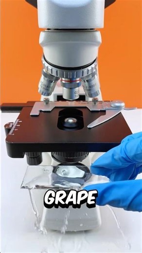 Grape juice under the microscope 🔬😱