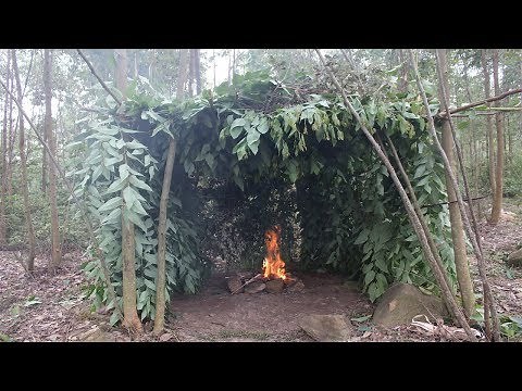 Primitive Technology: Build a hut with natural plants