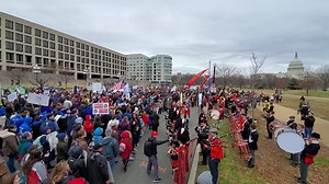 15K views · 1.4K reactions | Over half a million people at the 2020 March for Life. | America Needs Fatima | Facebook