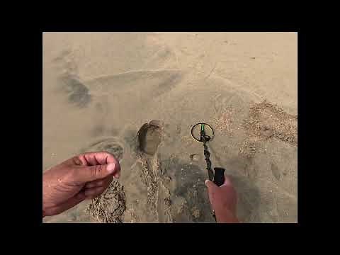 Finding rings on the beach with a metal detector