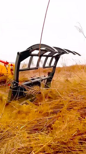 Exploring Telescopic Boom Forklifts for Loaders