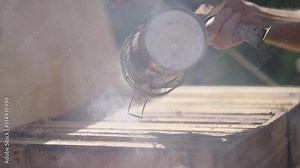 Apiarist Beekeeper Worker Pumping a Bee Smoker Tool on the Wooden Bee Hive Combs, Safety Labor Before inspection of the Bees Colony, Traditional Apiculture Honey Production Farm