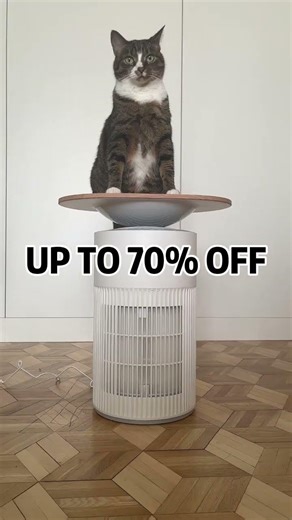 Air Purifier for Clean and Fresh Indoor Air #Shorts #airpurifier#v=ymjpItai930