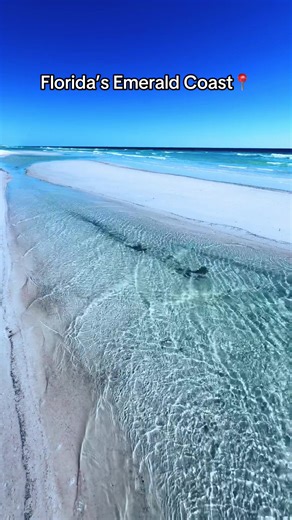 Explore the Shallow Tidal Pools of Florida's Emerald Coast
