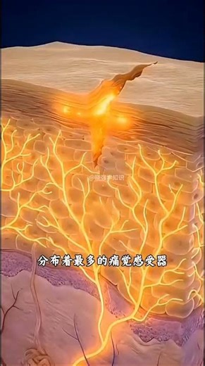 Why Paper Cuts Hurt So Much? The Science Behind It