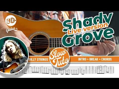 🎸 Billy Strings – Shady Grove 🟧 Intro, Break & Chords + TAB (Slow Tutorial)