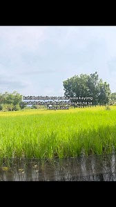 Aray ko 😭 | Inosuke