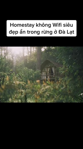 Tranquil Homestay Experience at Andante Nature Retreat in Đà Lạt