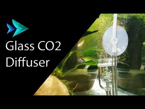 Glass CO2 Diffuser Installation (Ceramic Disc)