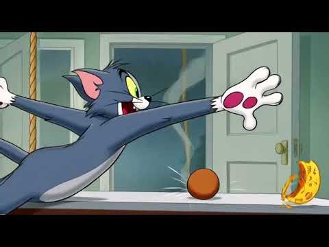 Tom and Jerry New Cartoon | Funny Animation | PK Kids